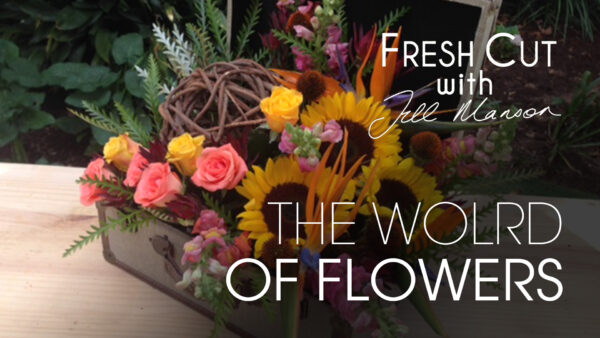 The World of Flowers & Cottage Style Arrangement | Fresh Cut