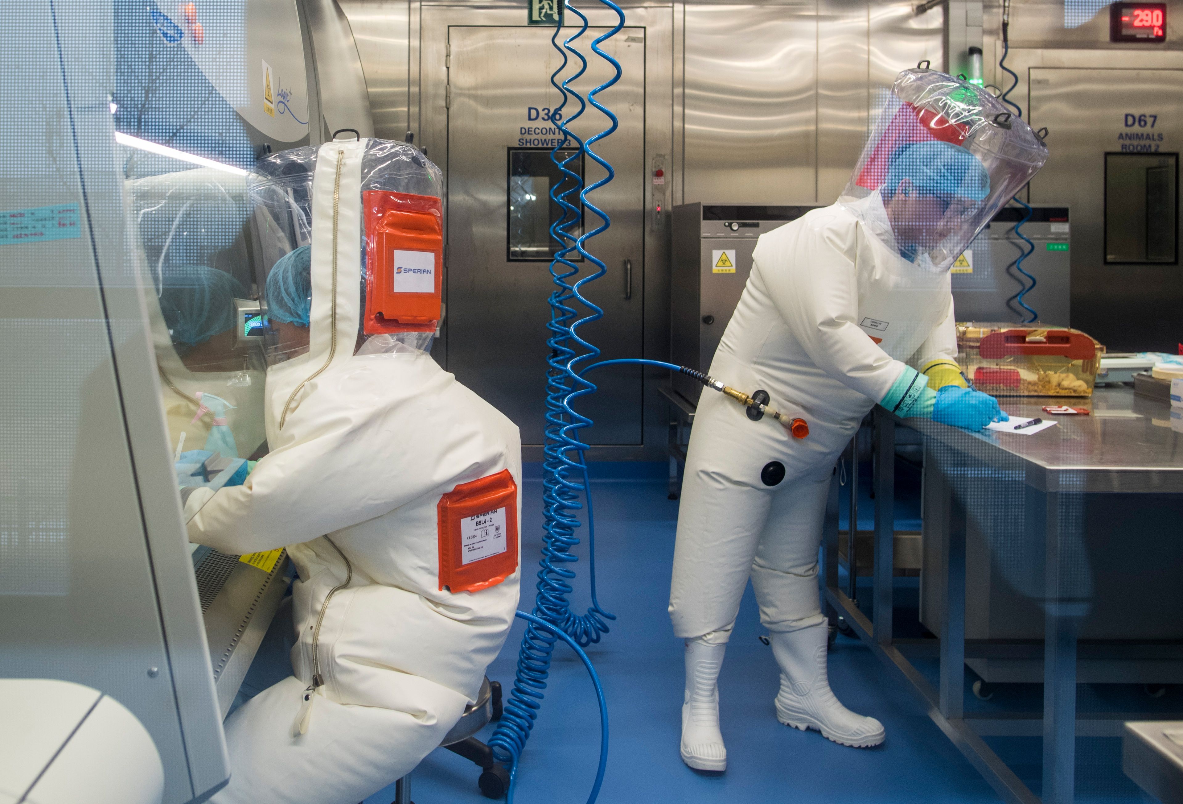 Wuhan Lab Was Genetically Manipulating Deadly Nipah Virus, Expert Testifies at Senate Hearing - Vimarsana News