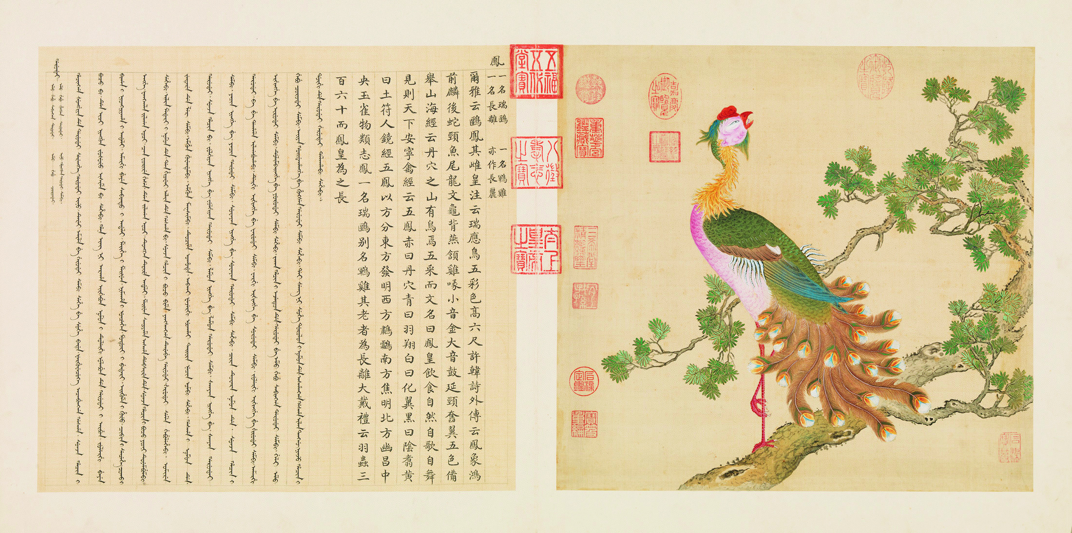 Chinese painting of a phoenix