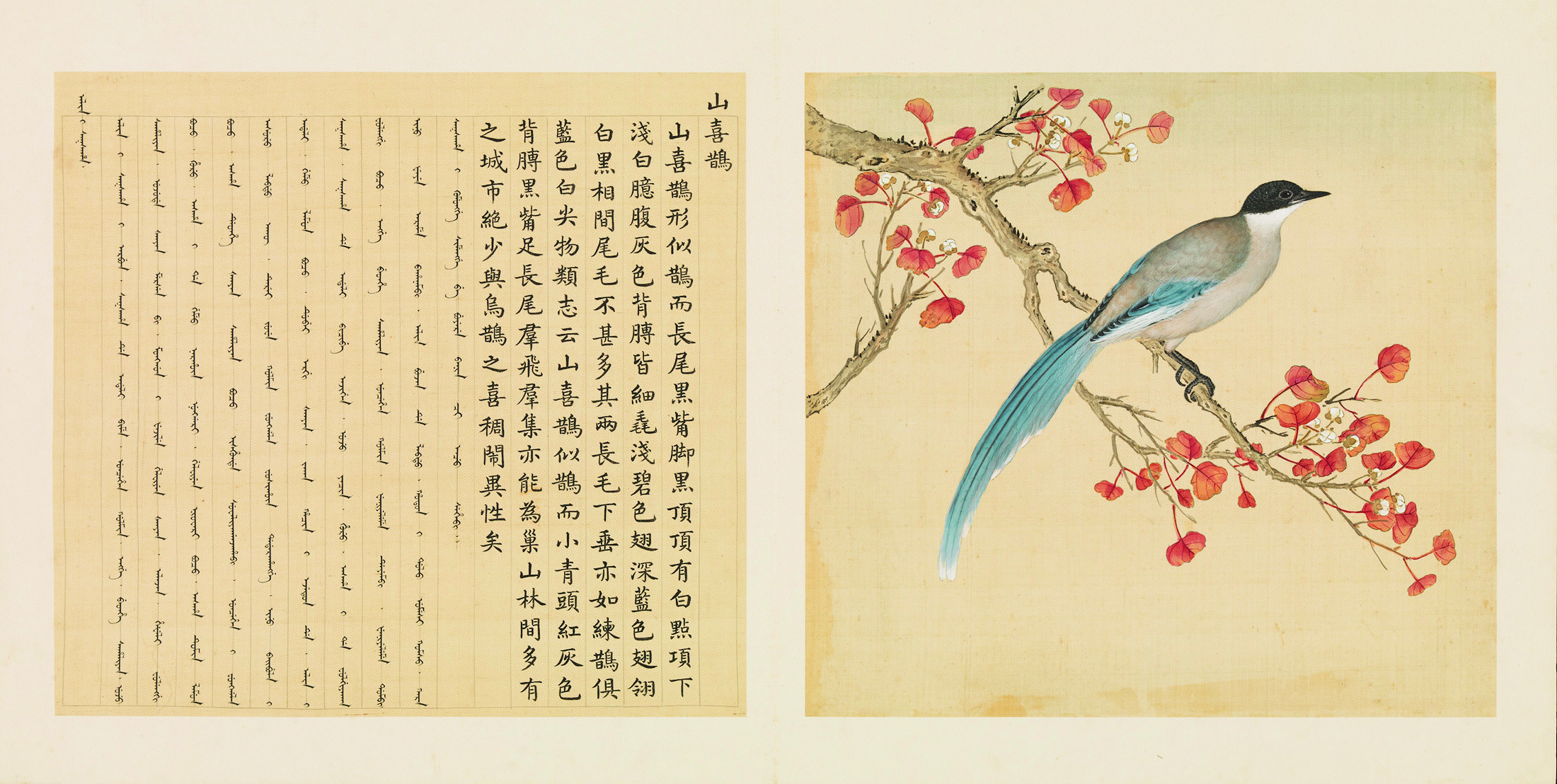 Chinese painting of a magpie