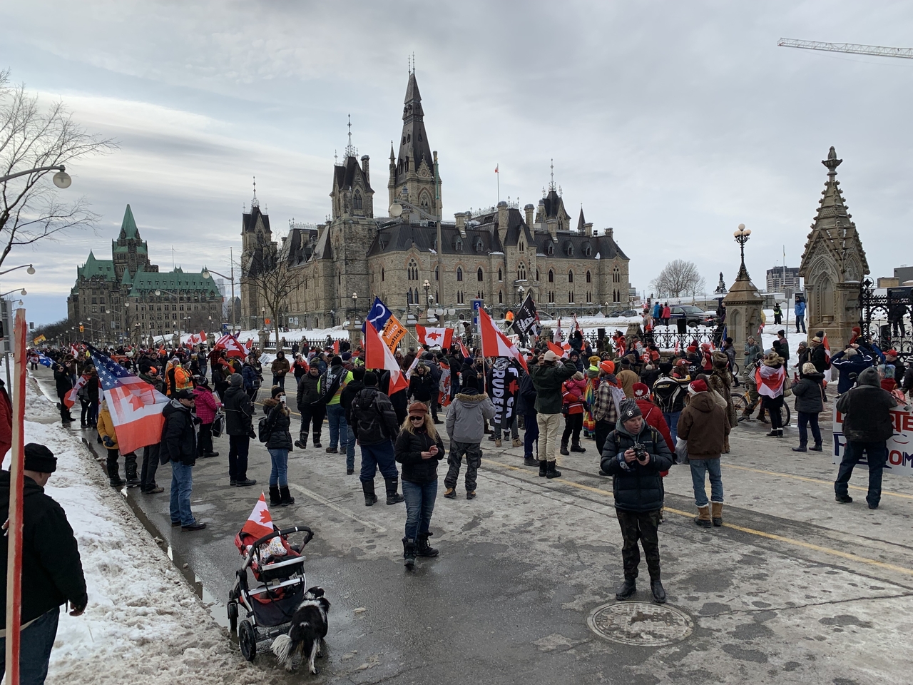 Photo Report: Hundreds Demonstrate by Parliament in Ottawa to Uphold Freedoms - Vimarsana News