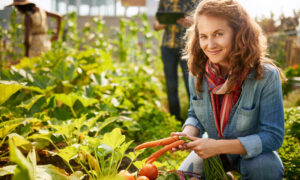 Are Your Lawn and Garden Chemically Dependent?