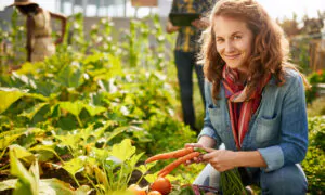 Are Your Lawn and Garden Chemically Dependent?