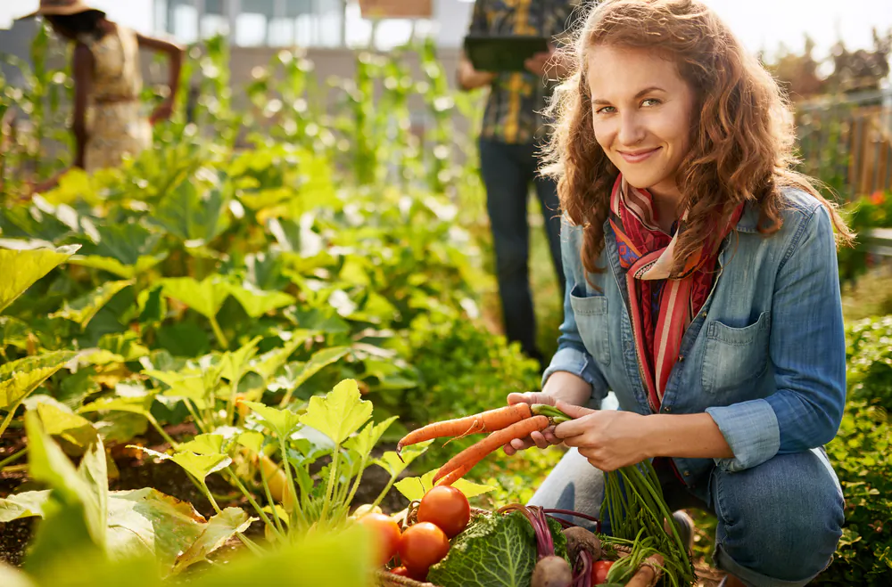 there are many ways to fertilize your home garden, you do not need to use chemicals or synthetic weed killers to maintain your garden. (shutterstock)