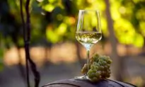 Wine’s Many Paths