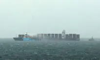 Debris From Cargo Ship Spill Last Fall Spreading Along BC Coast: Beach Cleaners