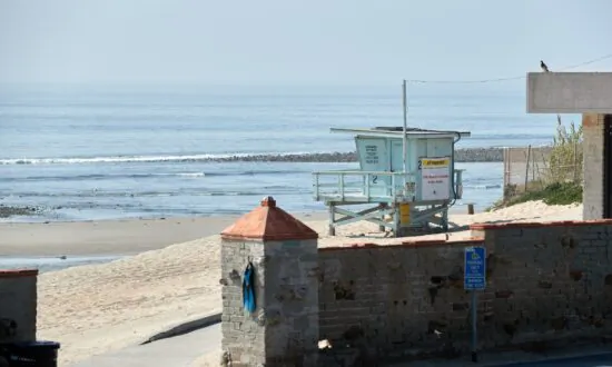Beached Whale Rescued in Malibu Has Been Euthanized