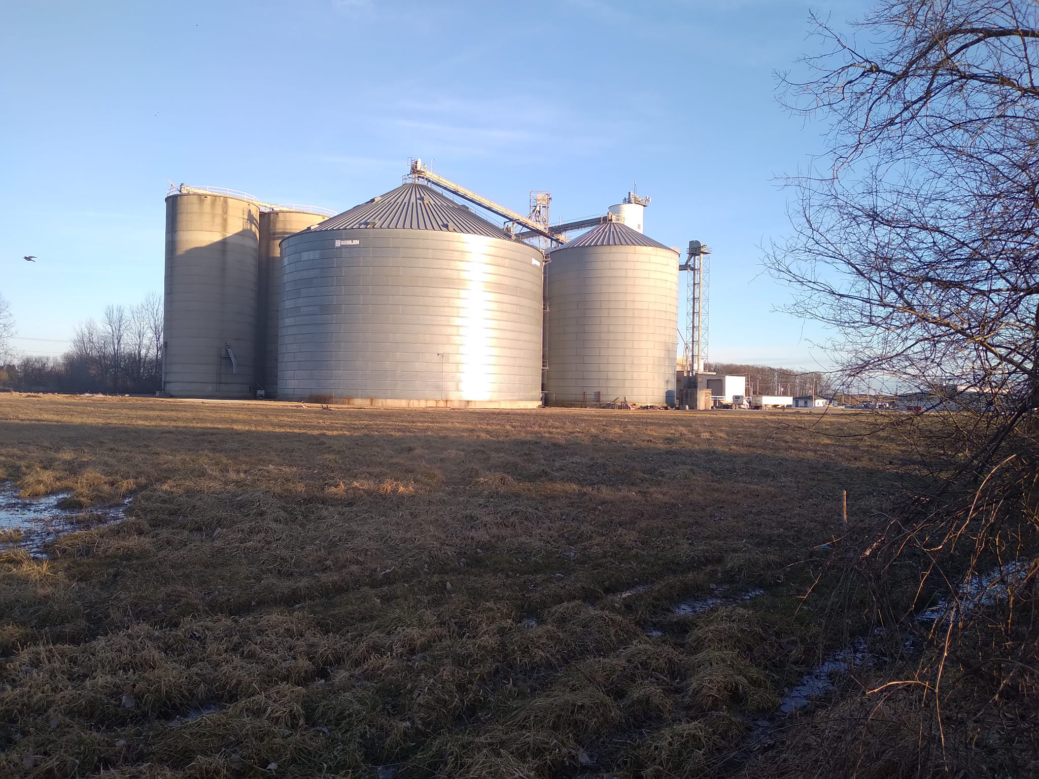 Will Ohio's Wood County Continue as a Reliable Bellwether Indicator? - Vimarsana News