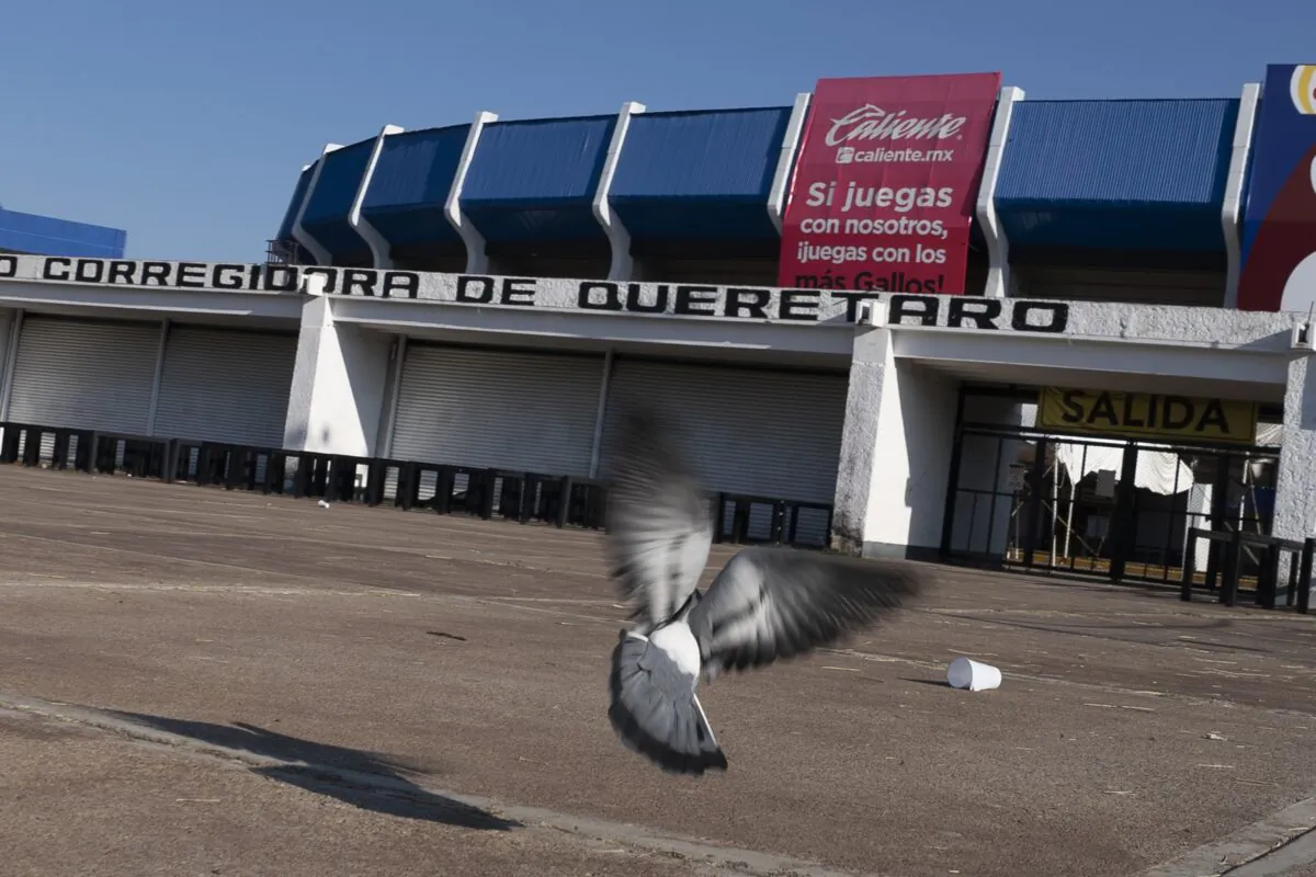 A view of Corregidora stadium in Queretaro, Mexico on March 6, 2022. (Marco Ugarte/AP Photo)