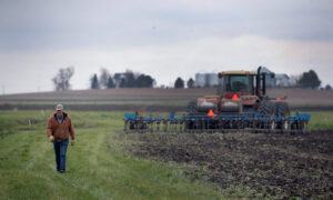 US and World Gripped by Fertilizer Crisis
