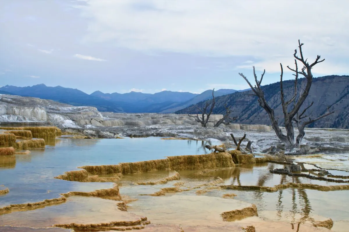 Mammoth Hot Springs in Yellowstone National Park, Wyo. (Trevor Vannoy/Unsplash)