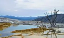 A Historian of the Wild West