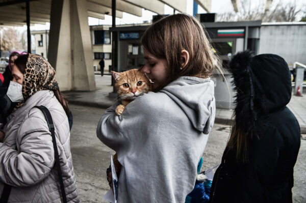 Một người tị nạn Ukraine ôm mèo cưng của mình khi cô và những người khác biên giới Hy Lạp-Bulgaria tại Promachonas, vào ngày 7/3/2022. (Ảnh Getty Images)