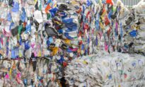 Push to Wind up Company Behind Failed Plastic Recycling Scheme