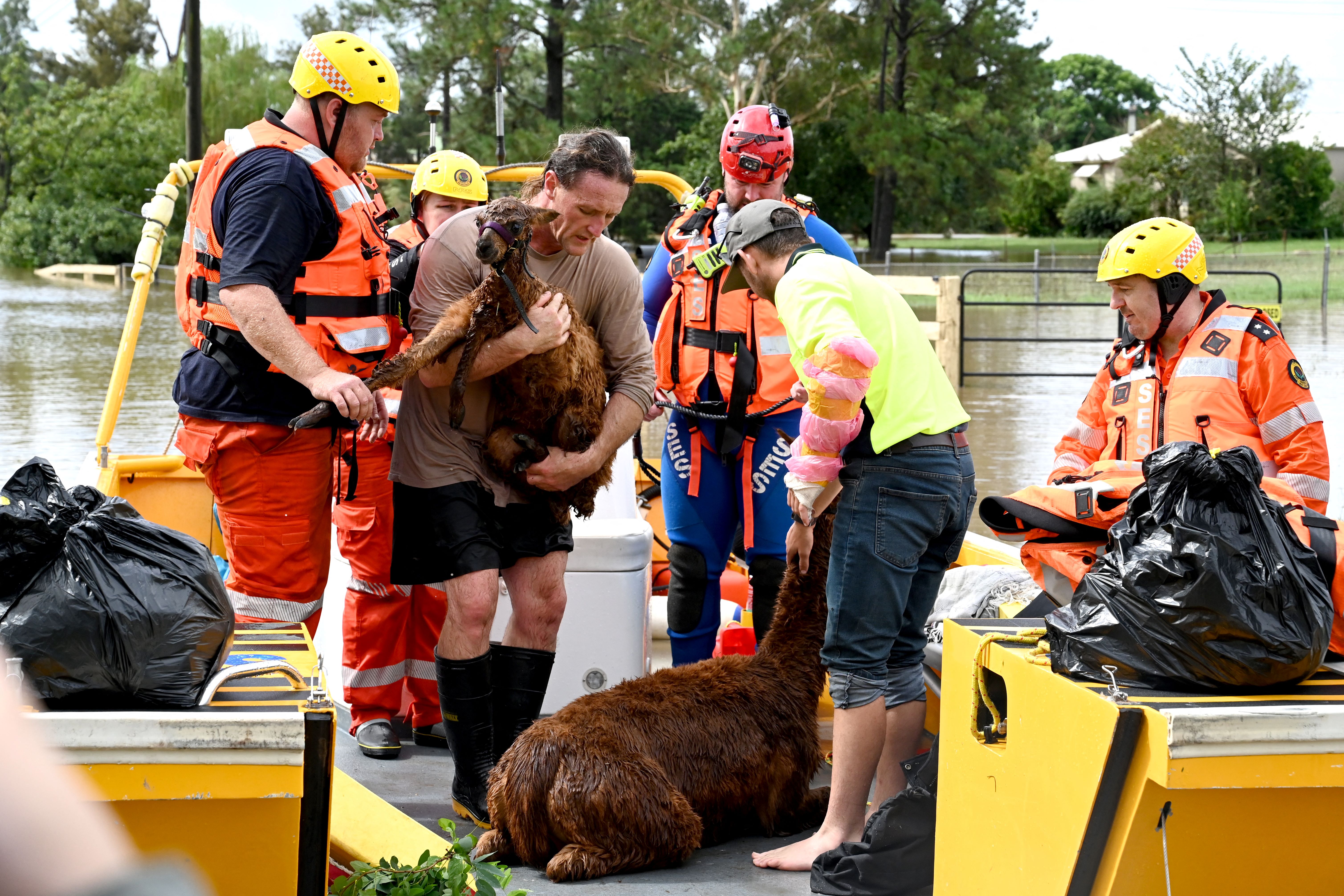 New South Wales Government Opens Independent Inquiry Into Flood Response - Vimarsana News