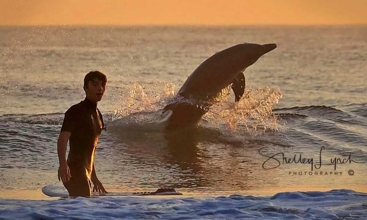 (Courtesy of Shelley Lynch Photography)