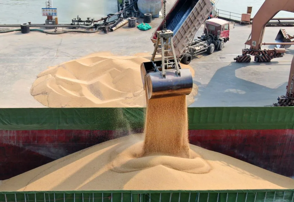 A crane loads soybean imported from Ukraine off a ship in a port in Nantong in east China's Jiangsu Province on May 10, 2019. (Xu Congjun/Future Publishing via Getty Images)