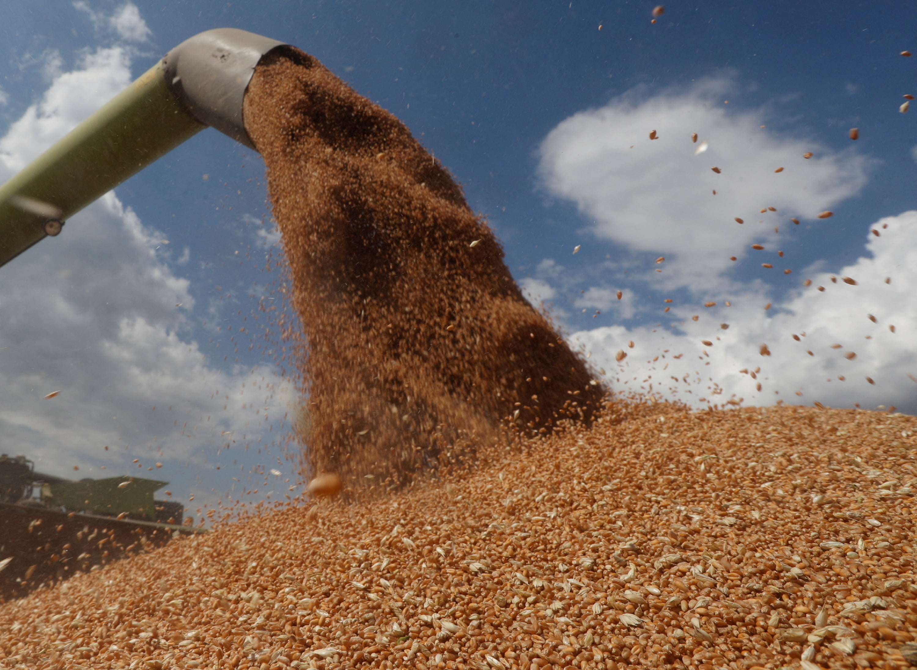 Ukraine War Creates Wheat Crisis in Middle East and North Africa, China Looking to Take Advantage - Vimarsana News