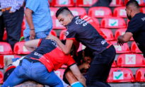 26 Injured in Massive Brawl at Mexican Soccer Match, Matches Suspended