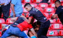26 Injured in Massive Brawl at Mexican Soccer Match, Matches Suspended