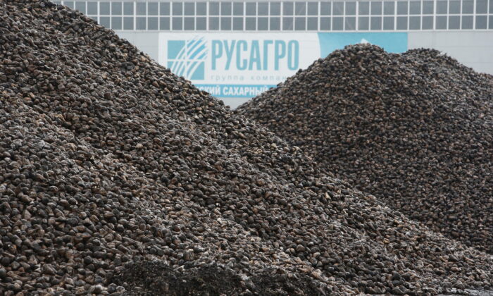 Piles of sugar beets are seen uploaded at Znamensky Sugar Plant, owned by Russian farming conglomerate Rusagro (Ros Agro Plc), in the settlement of Znamenka, in Tambov region, Russia, on Oct. 13, 2017. (Sergei Karpukhin/Reuters)