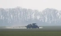 Ukraine War Triggering Global Food Crisis, Possible Rise in ‘Chronically Hungry People’