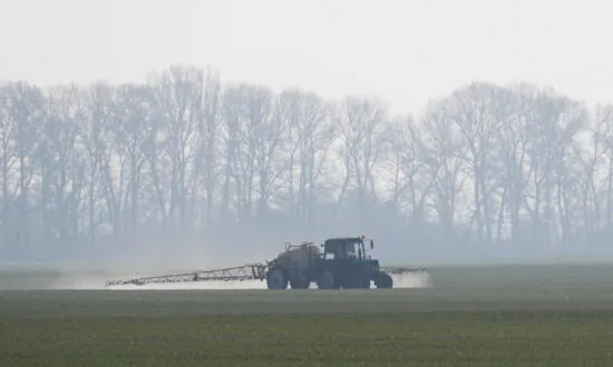 Ukraine War Triggering Global Food Crisis, Possible Rise in ‘Chronically Hungry People’