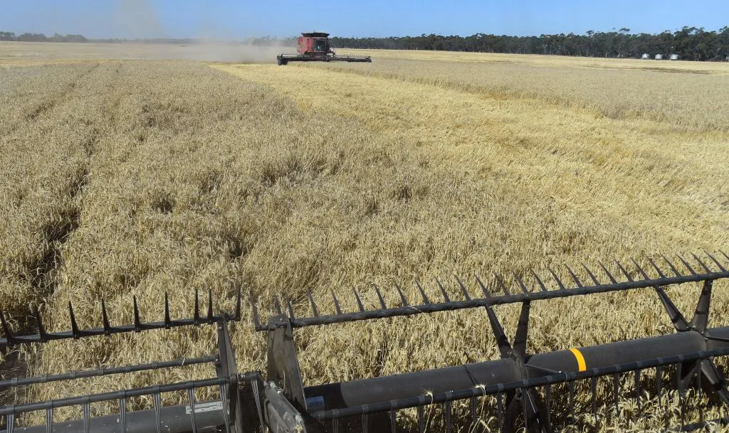 A field of wheat being harvested on a farm near Inverleigh, some 100kms west of Melbourne, Australia, on Jan. 12, 2021. (William West/AFP via Getty Images)
