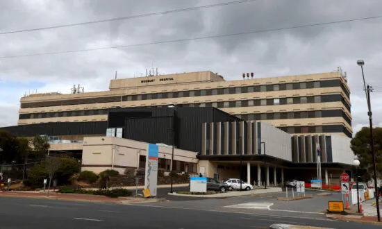 Investment in Community Mental Health Services Won’t Solve ED Overcrowding Expert Says