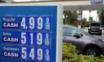 Putin’s Price Hike? Fiscal, Monetary Expansion Root Causes of 8.5 Percent Inflation, Experts Say