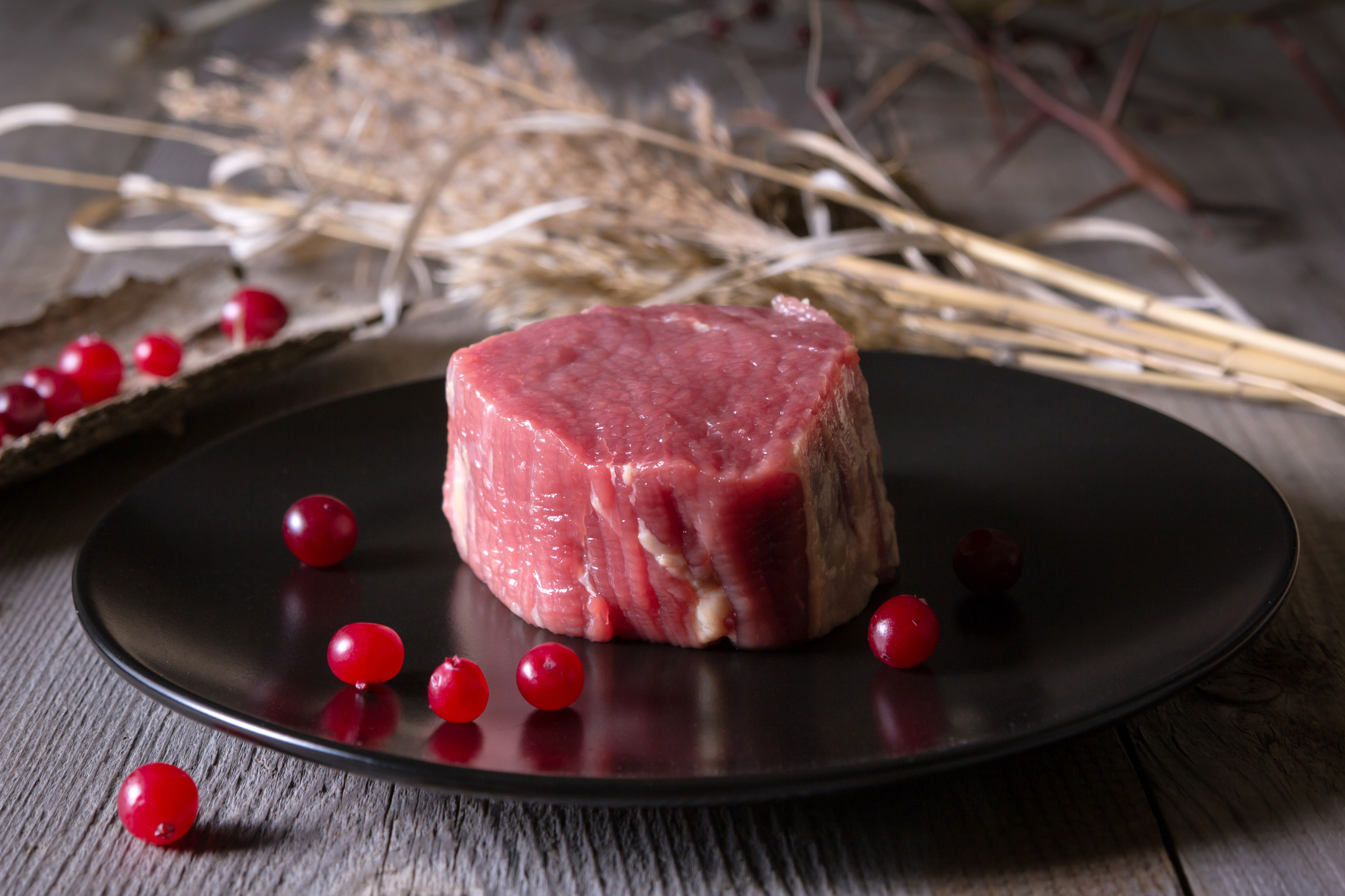 Wild for Game Meats - Vimarsana News