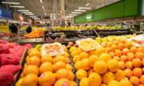 ‘Shelflation’: Canadians Dumped Over $500 Million Worth of Food in Past Six Months Due to Decreased Shelf Life