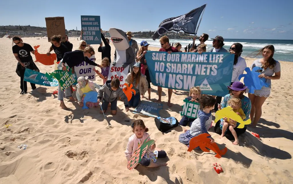 Surfers, swimmers, divers, shark lovers and concerned community members gather on Bondi Beach in Sydney on September 17, 2017 to pressure governments to back down on shark nets. (PETER PARKS/AFP via Getty Images)