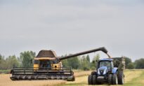 Top US General Floats ‘Military Options’ to Help Export Grain from Ukraine