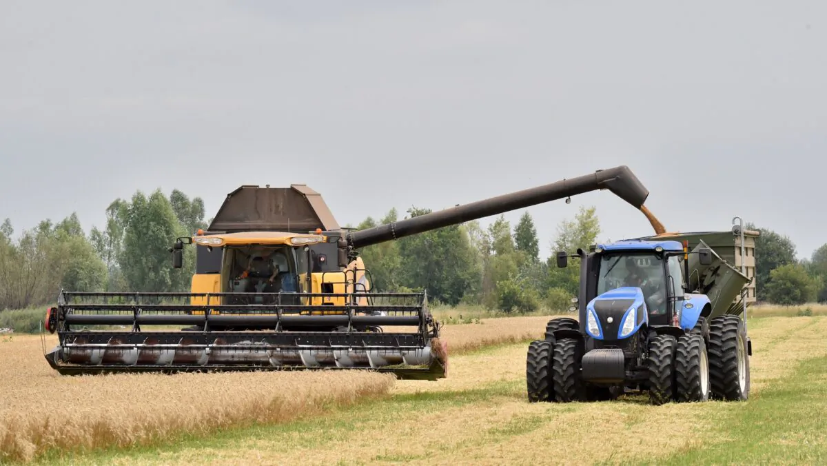 Grain is poured from a combine harvester into a tractor in the village of Mala Divytsa, Ukraine, on July 27, 2015. (Sergei Supinsky/AFP via Getty Images)