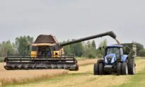 Ukraine, Poland Strike Deal to Restart Transit of Grain