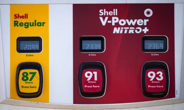 The prices for a litre of various grades of gasoline are displayed on a pump at a Shell gas station in Vancouver on March 8, 2022. (The Canadian Press/Darryl Dyck)