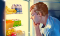 Lessons From a Refrigerator