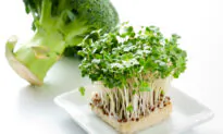 The BEST Form of Broccoli to Fight Cancer
