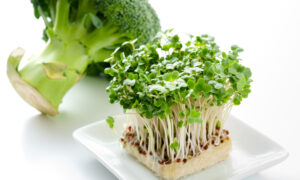 The BEST Form of Broccoli to Fight Cancer