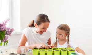 When to Start Vegetable and Flower Seeds Indoors