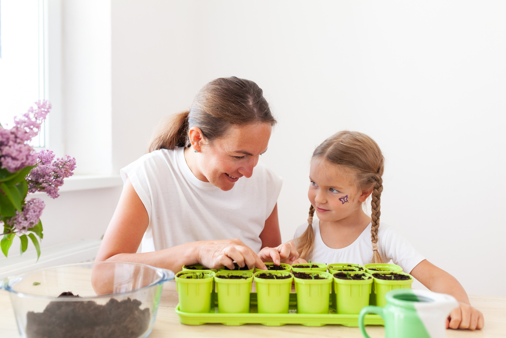 Planting your seeds indoors can help you control the conditions as they germinate and sprout. (Shutterstock)