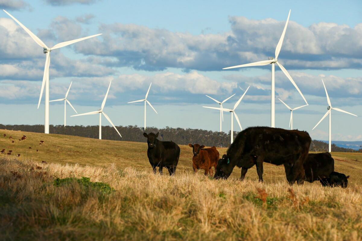 Is Australia's Energy Transition 'Inevitable'? - Vimarsana News