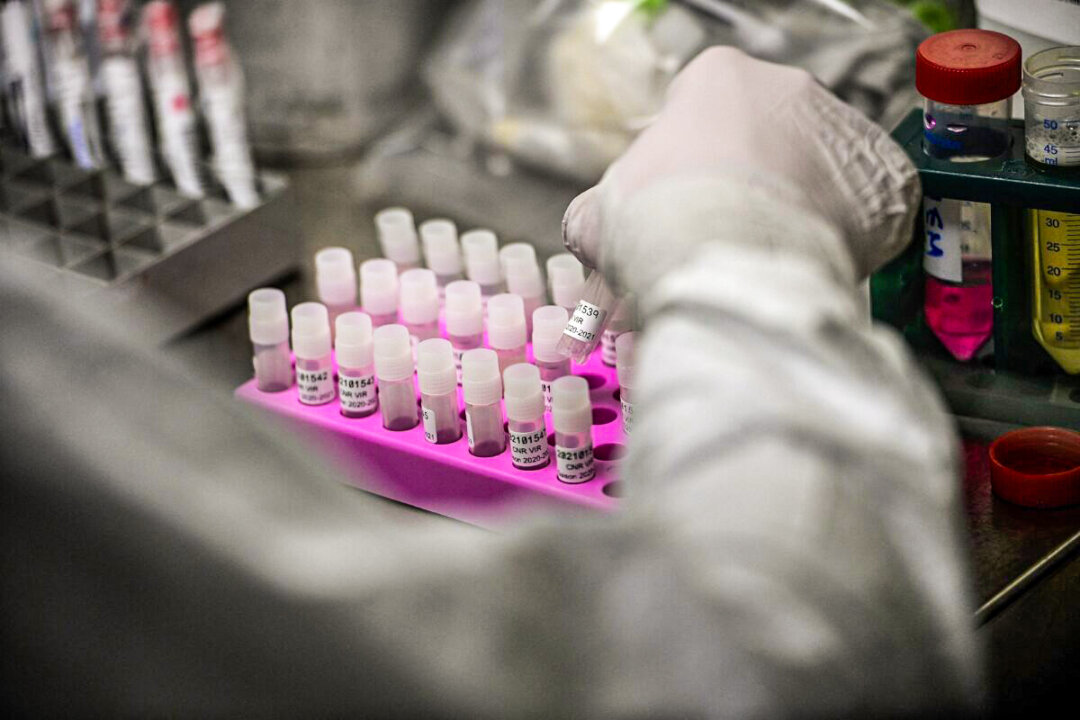 Genomic sequencing is performed in France in this file photograph. (Christophe Archambault/AFP via Getty Images)