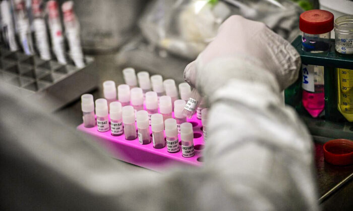 Genomic sequencing is performed in France in this file photograph. (Christophe Archambault/AFP via Getty Images)