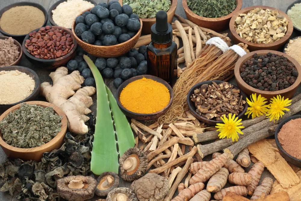 There are many herbs and roots that contain very healthy compounds that can help us deal with stress, injury and even mood. (Shutterstock)