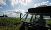 Argentina Halts Export Registration for Soy Oil, Meal