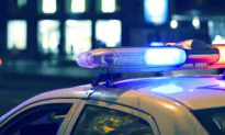 New Jersey Infant Killed, Parents Injured in Apparent Attack by Family Dog, Police Say