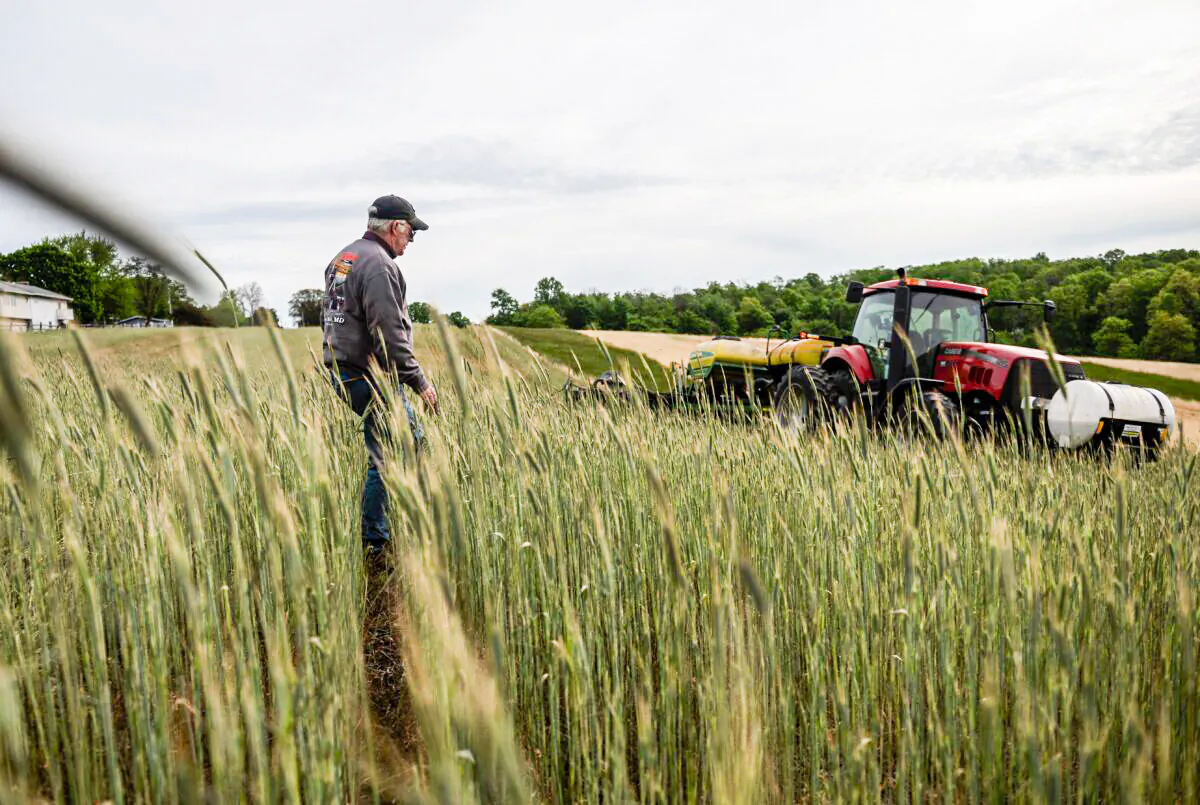 A farmer walks back to his tractor as he plants corn in the Marvin Chapel field in Mount Airy, Md., on May 19, 2020. (Andrew Caballero-Reynolds/AFP via Getty Images)