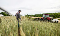 Farmers Hit Hard by Price Increases as Food Price Spike Looms